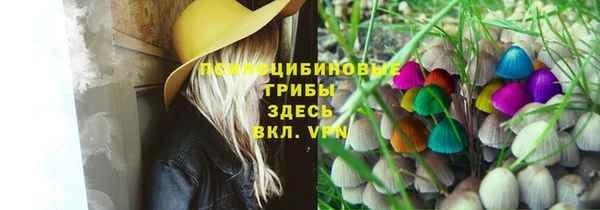 ешки Арсеньев