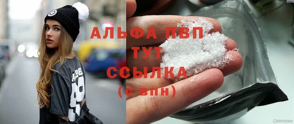 ешки Арсеньев