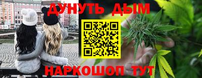 наркотики Кингисепп