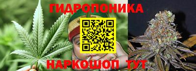 наркотики Кингисепп