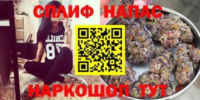 наркотики Кингисепп