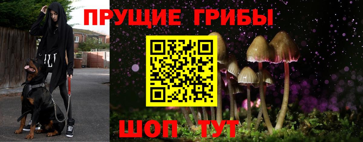 наркота  Галлюциногенные грибы мухоморы  Вход с VPN  Псилоцибиновые грибы Magic Shrooms  Усолье-Сибирское 