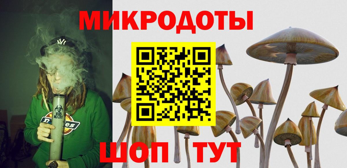 Псилоцибиновые грибы мухоморы Усолье-Сибирское